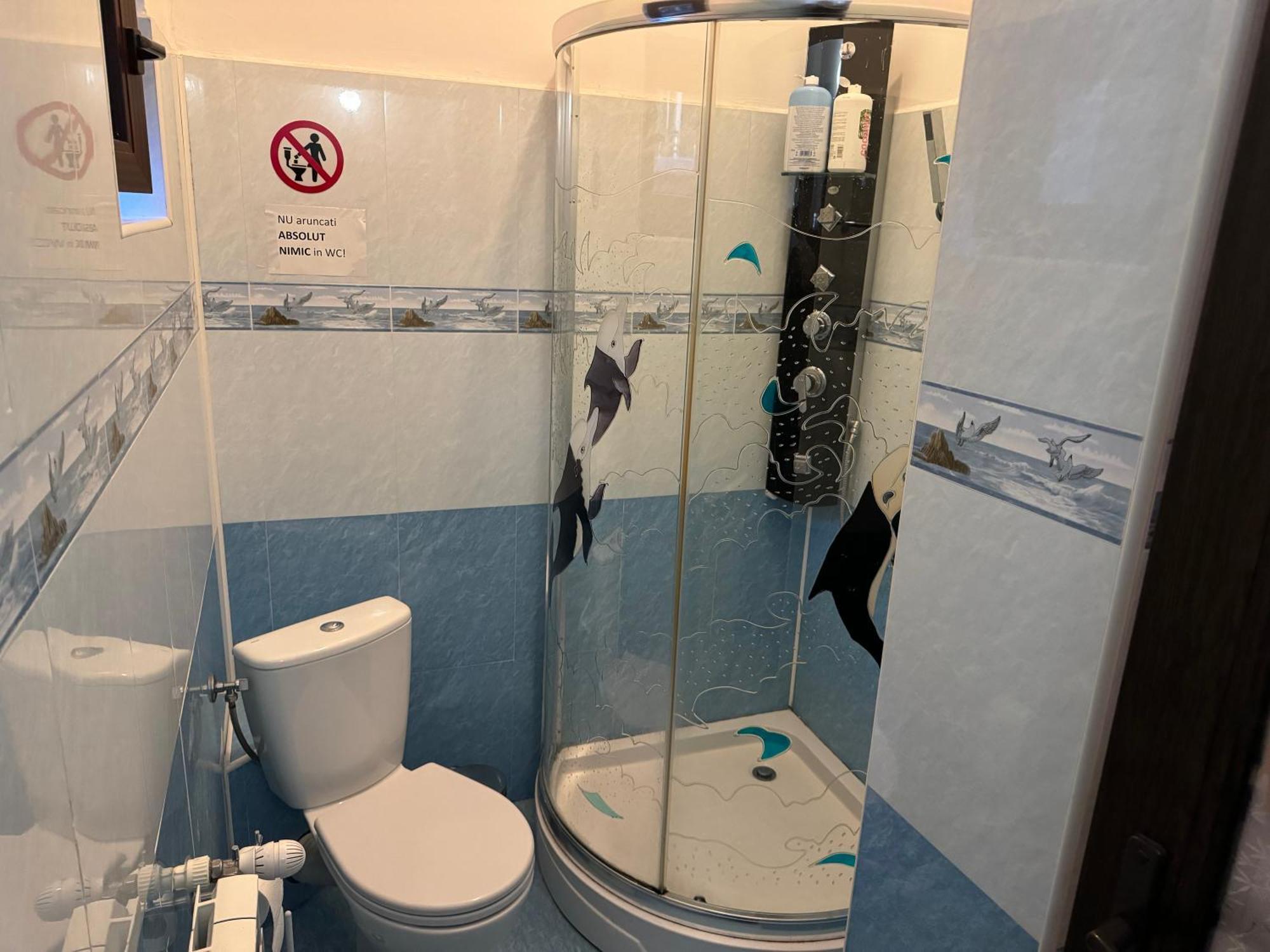 Vila Babylon Predeal Luaran gambar